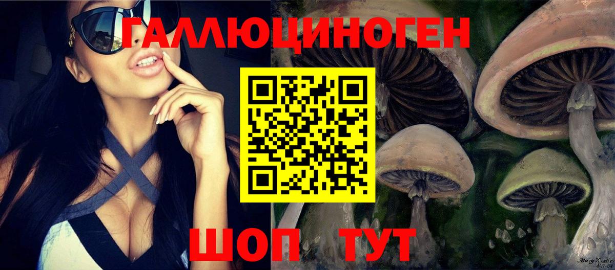 Галлюциногенные грибы мицелий  Вход с VPN  Горно-Алтайск  Псилоцибиновые грибы мицелий 